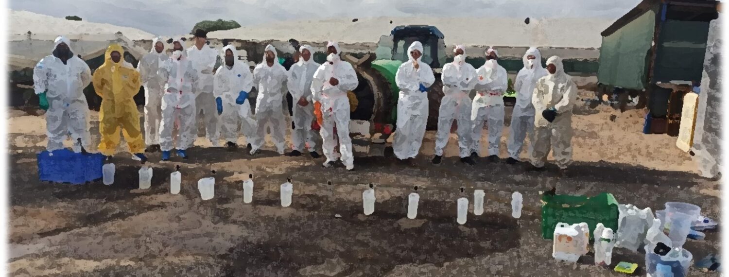 WhatsApp Image 2026-01-13 at 12.19.43