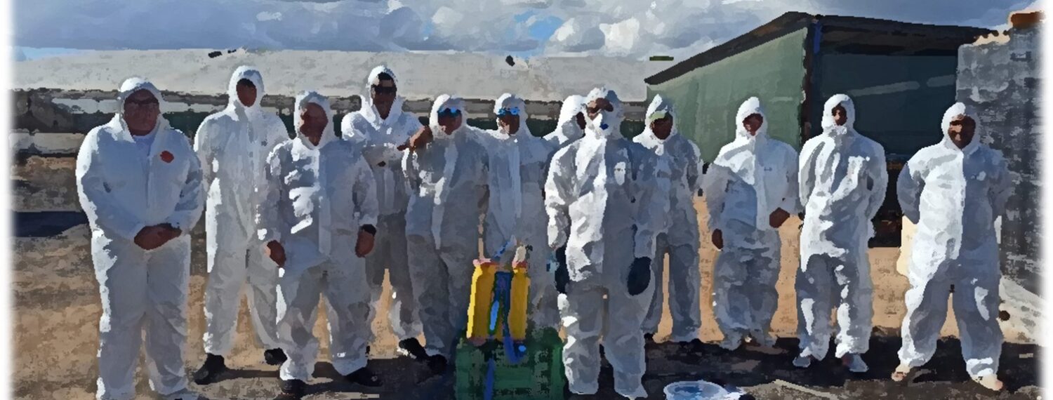 WhatsApp Image 2026-01-13 at 12.19.43 (2)