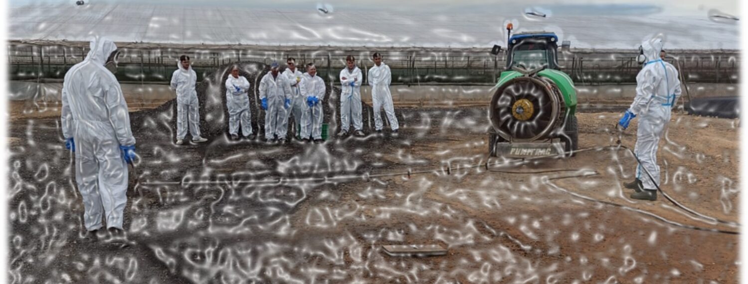 WhatsApp Image 2026-01-13 at 12.19.44 (1)