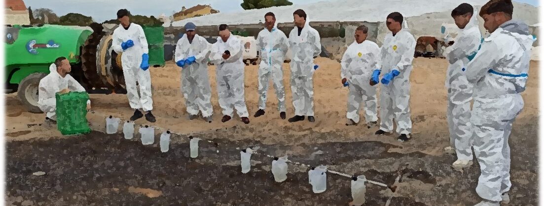 WhatsApp Image 2026-01-13 at 12.19.44 (2)