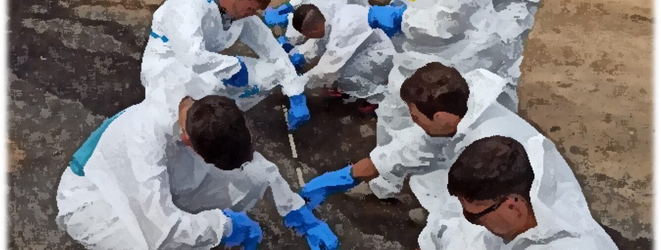 WhatsApp Image 2026-01-13 at 12.19.44 (3)