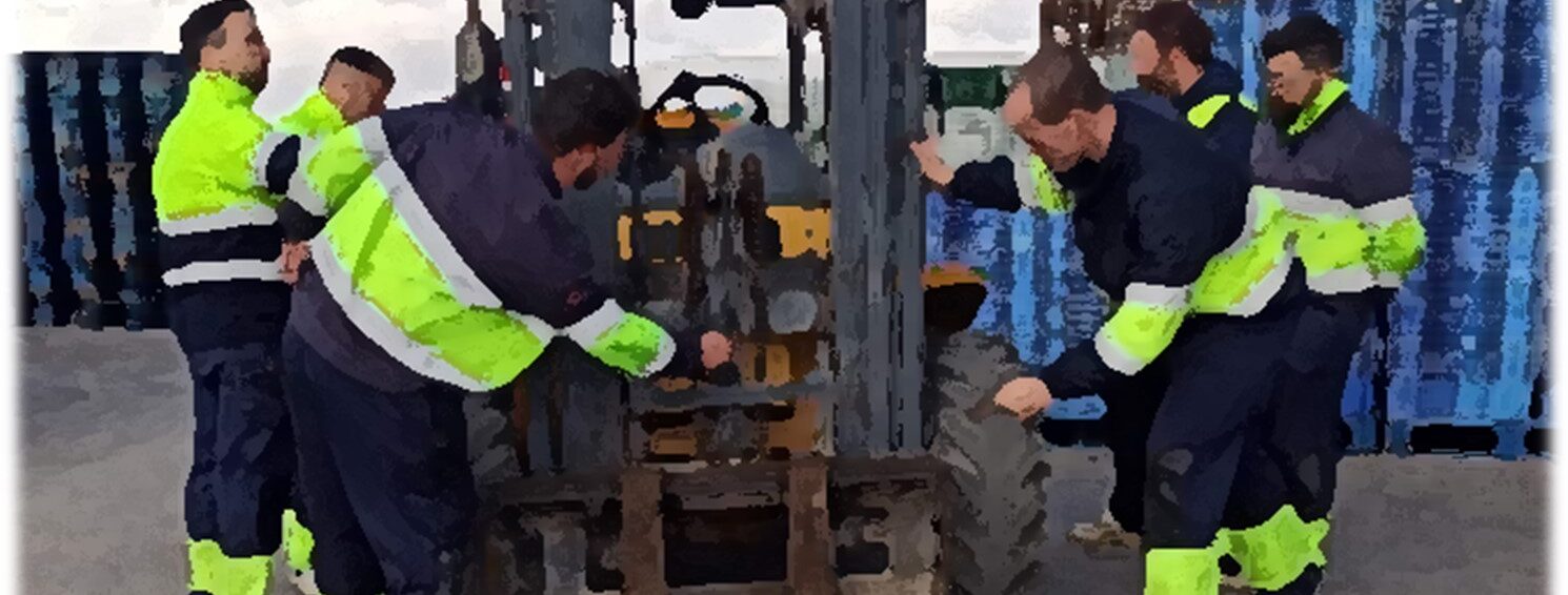 WhatsApp Image 2026-01-13 at 12.19.44 (5)