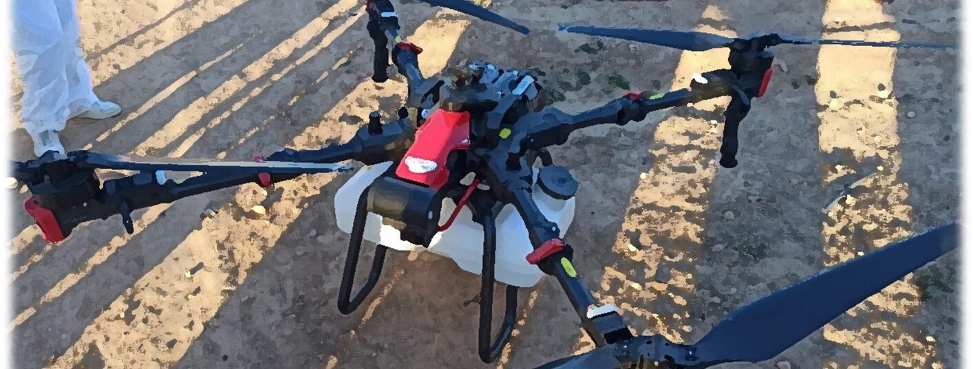 WhatsApp Image 2026-01-13 at 12.19.45 (3)