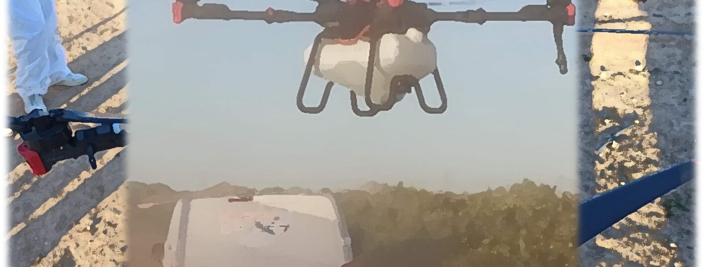 WhatsApp Image 2026-01-13 at 12.19.45 (4)