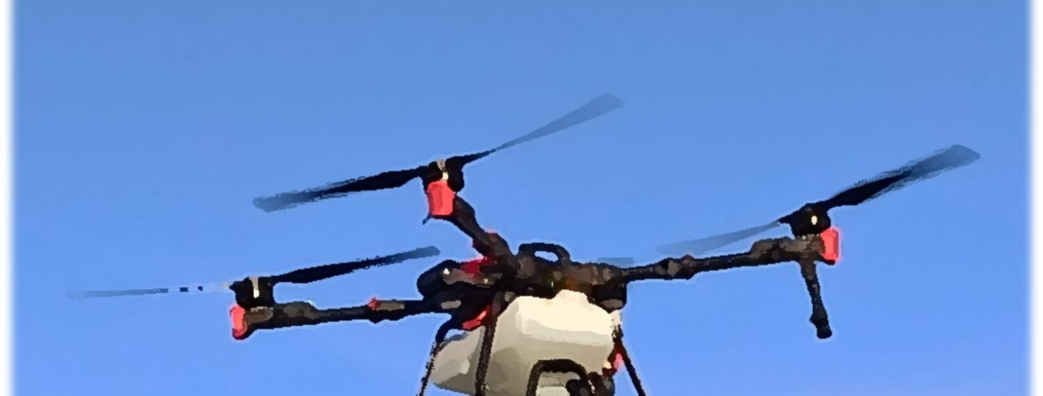 WhatsApp Image 2026-01-13 at 12.19.45 (5)