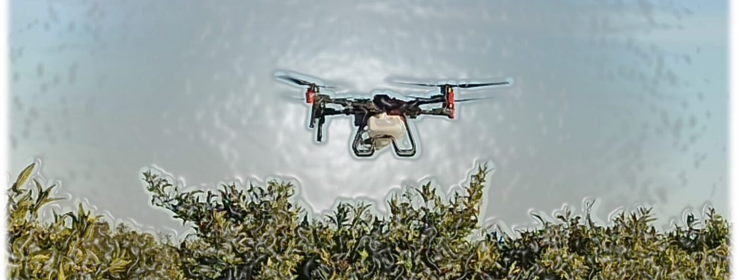 WhatsApp Image 2026-01-13 at 12.19.45 (6)