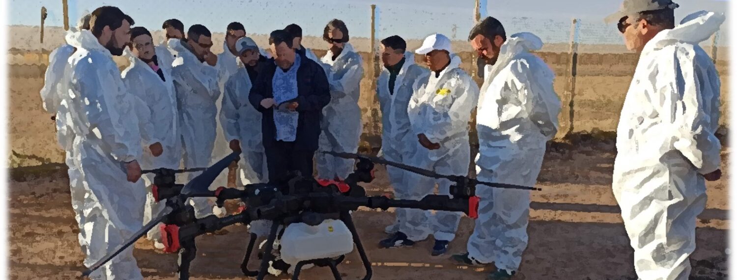 WhatsApp Image 2026-01-13 at 12.19.46