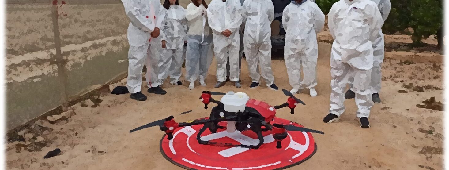 WhatsApp Image 2026-01-13 at 12.19.46 (3)